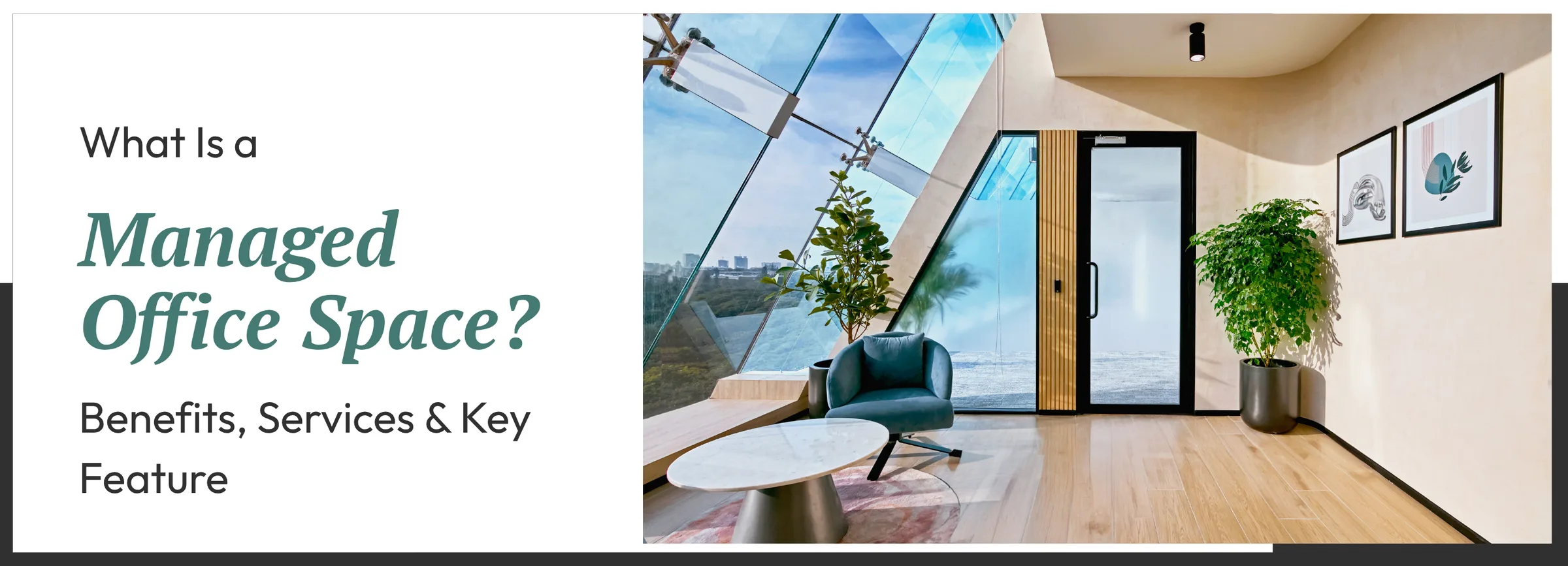What-Is a Managed Office Space? Benefits, Services & Key Features