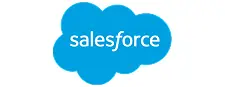 Salesforce log