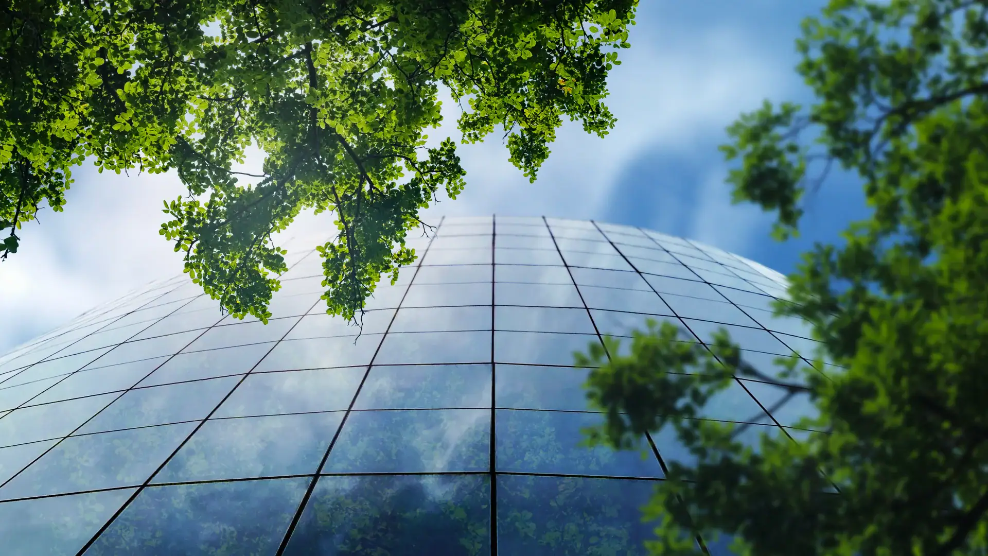 Business Goes Better When You Are Bold on Buildings: A Sustainability Perspective 