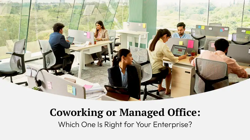 coworking vs managed office